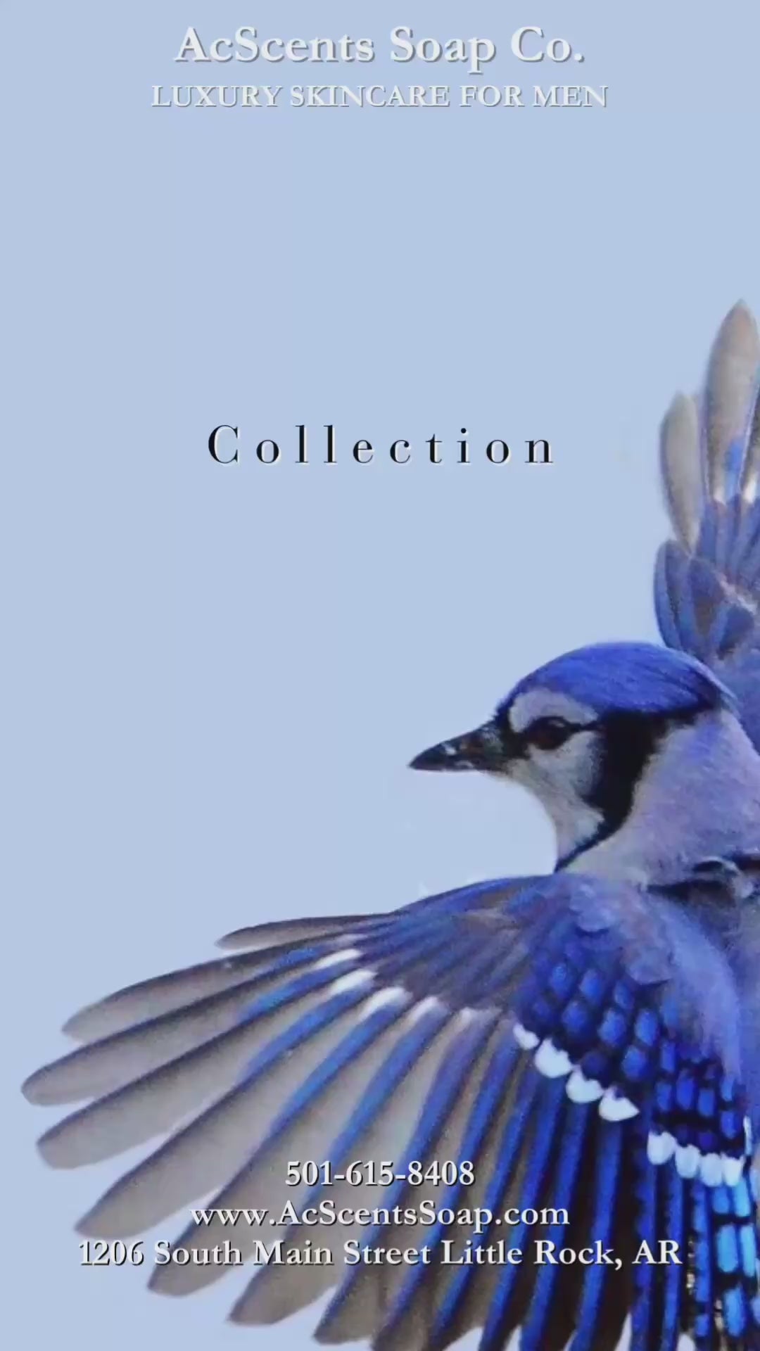 Blu Byrd Collection